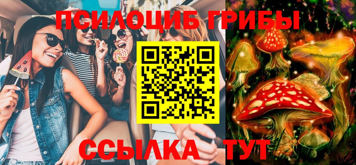 Псилоцибиновые грибы Cubensis  Псилоцибиновые грибы GOLDEN TEACHER  Вход с VPN  Тамбов 