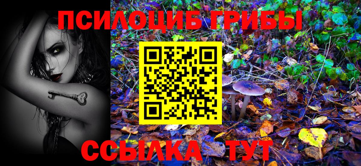 Псилоцибиновые грибы MAGIC MUSHROOMS Тамбов
