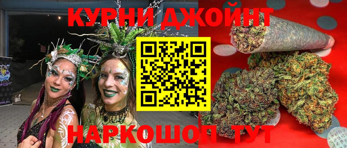 МАРИХУАНА сатива Тамбов